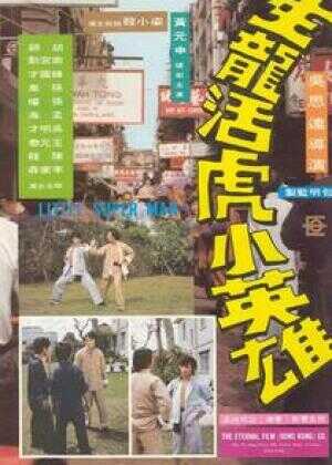 生龙活虎小英雄海报