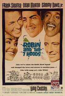 罗宾七侠海报