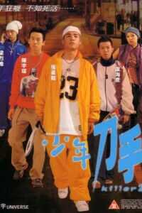少年刀手海报