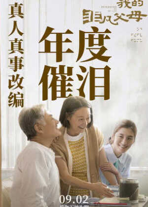 我的非凡父母海报