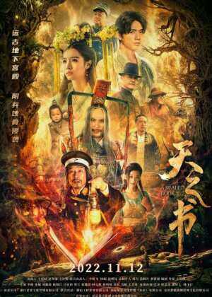 天之书海报