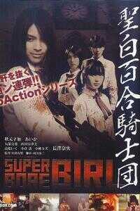 圣白百合骑士団