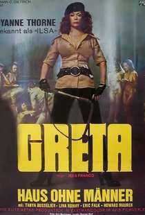 纳粹女魔头之病房狂魔海报