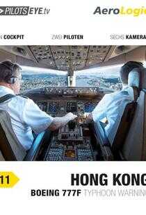 飞行员之眼：香港海报