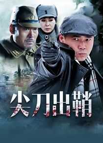 浴血太行之尖刀出鞘海报