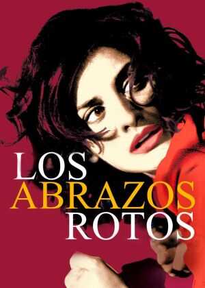 破碎的拥抱海报