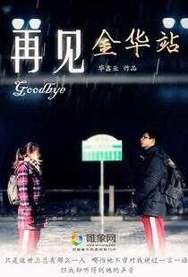 再见金华站海报