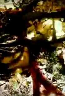 但丁四重奏海报