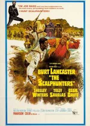 荒野两匹狼海报