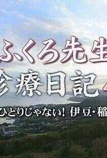 母亲老师诊疗日记海报