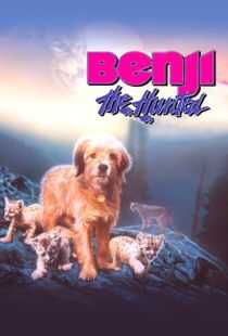 丛林赤子心海报