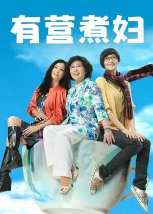 有营煮妇海报