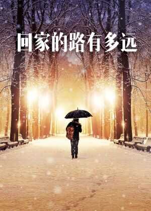回家的路有多远海报