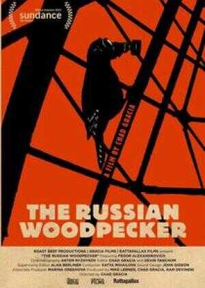 俄罗斯啄木鸟海报