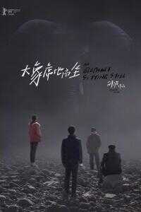 大象席地而坐海报