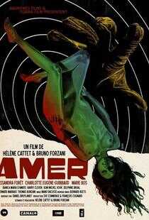 安娜的迷宫海报