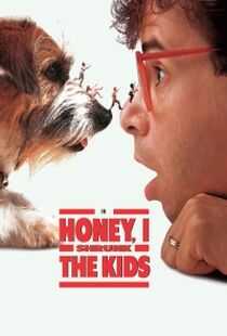 亲爱的,我把孩子缩小了海报