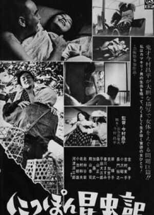 日本昆虫记海报