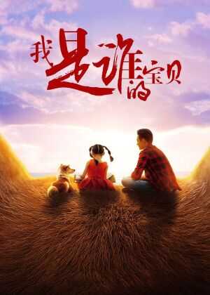 我是谁的宝贝海报