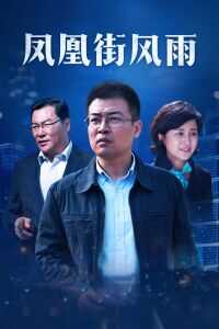 凤凰街风雨海报