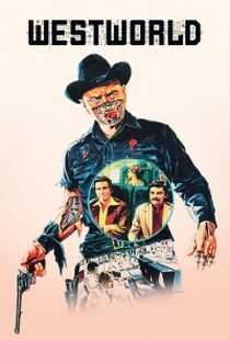 西部世界海报