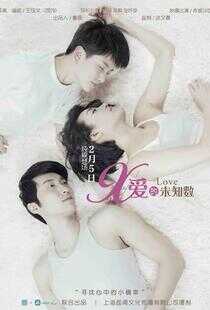 爱的未知数海报