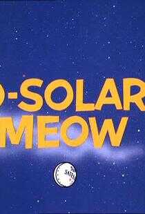 太阳系的猫叫声海报
