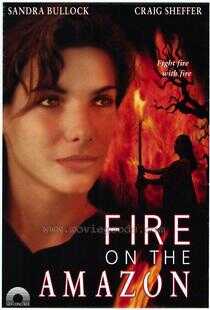 亚马逊之火海报