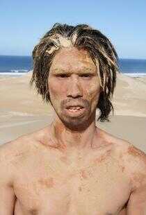 猿人星球:为地球而战海报