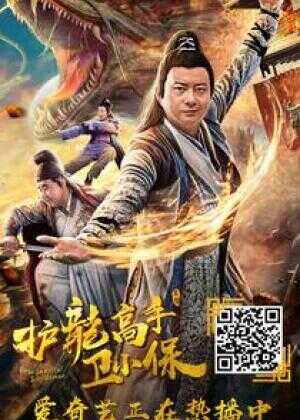 护龙高手卫小保海报