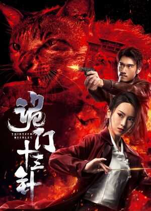 诡门十三针海报