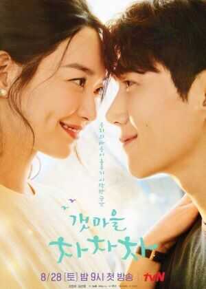 海岸村恰恰恰海报