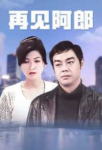 再见阿郎海报