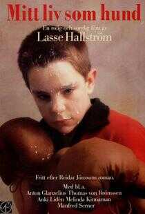 狗脸的岁月海报