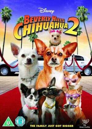 比佛利拜金狗2海报