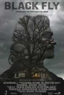 黑蝇海报