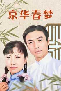 京华春梦海报