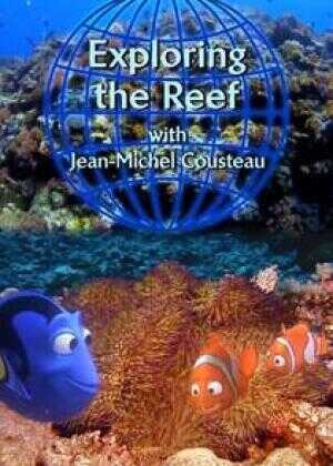 探索珊瑚礁海报