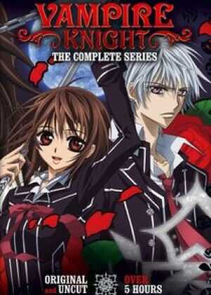 吸血鬼骑士海报