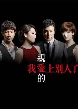 亲爱的，我爱上别人了海报