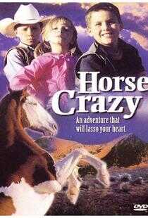 小鬼爱神驹海报