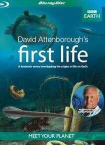 生命的起源海报