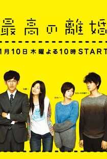 最完美的离婚海报