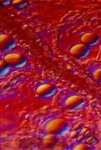 制造新人类海报