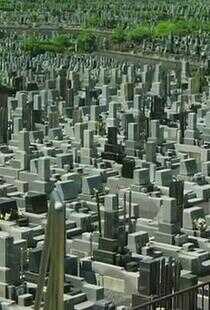 毛骨悚然撞鬼经 2011夏季特别篇海报