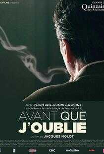 在我遗忘之前海报