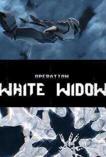 白寡妇行动海报