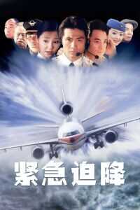 紧急迫降海报