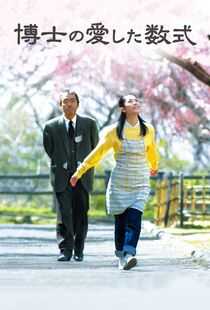 博士的爱情方程式海报