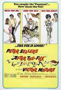 怪贼飞天狐海报